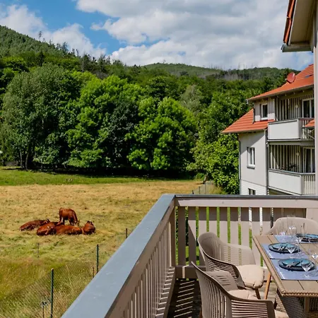 Ferienwohnung Zanthiehrhaus Am Ilsestein Apartment