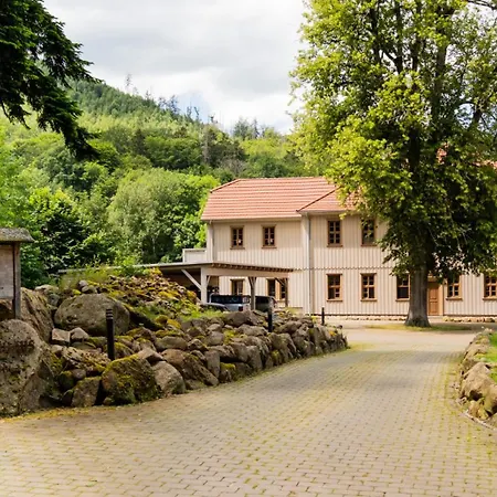 Apartment Ferienwohnung Zanthiehrhaus Am Ilsestein Ilsenburg
