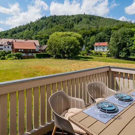 Apartment Ferienwohnung Zanthiehrhaus Am Ilsestein